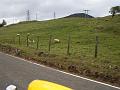 Perth-Aviemore, overzicht dag3, (9)